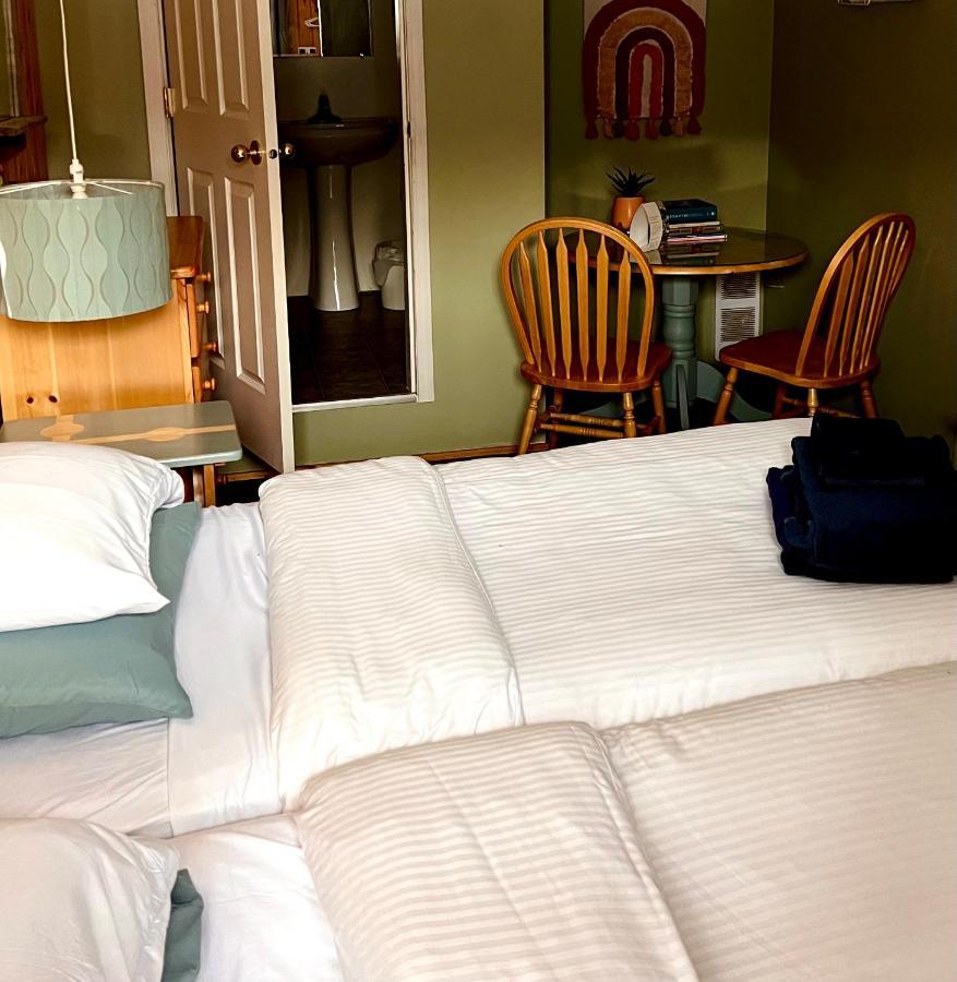 The Messy Owl Inn & Eco Haven Likely Esterno foto